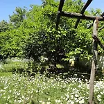 A Lovely House In Valley