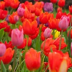 Holiday home A Lovely House In Valley *