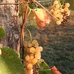 A Lovely House In Valley Holiday home