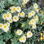 A Lovely House In Valley Holiday home