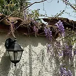 A Lovely House In Valley Holiday home Vipava