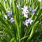 A Lovely House In Valley Holiday home