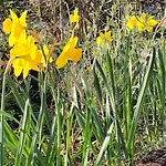 A Lovely House In Valley Holiday home