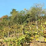 A Lovely House In Valley * Vipava