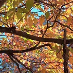 Holiday home A Lovely House In Valley