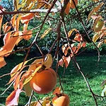 Holiday home A Lovely House In Valley *