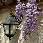 A Lovely House In Valley Holiday home Vipava