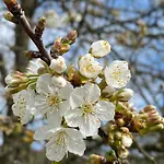 A Lovely House In Valley * Vipava