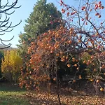 A Lovely House In Valley