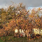 Holiday home A Lovely House In Valley Vipava