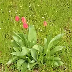A Lovely House In Valley * Vipava