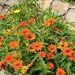 Holiday home A Lovely House In Valley Vipava