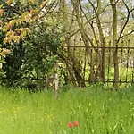 A Lovely House In Valley * Vipava