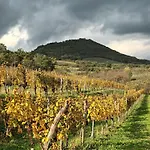A Lovely House In Valley