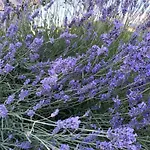 A Lovely House In Valley Holiday home