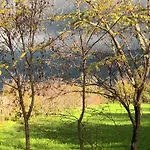 A Lovely House In Valley Vipava