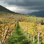 A Lovely House In Valley * Vipava