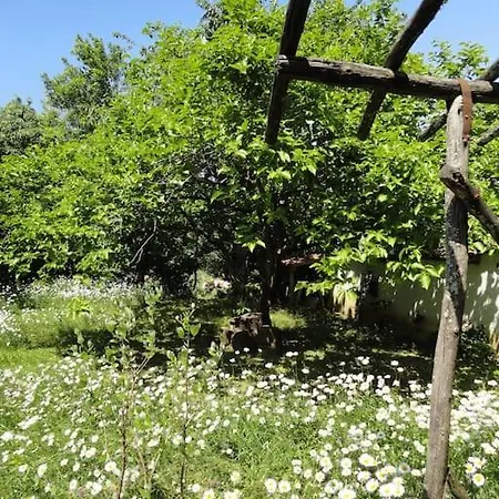 A Lovely House In Valley