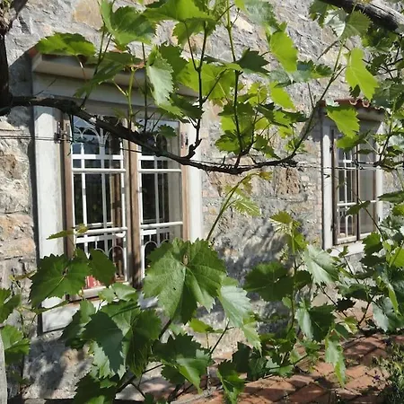 Casa vacanze A Lovely House In Valley Vipava