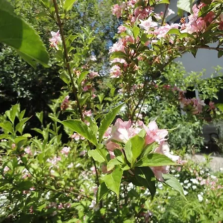 Casa vacanze A Lovely House In Valley Vipava