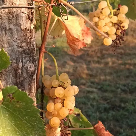 A Lovely House In Valley Σπίτι διακοπών