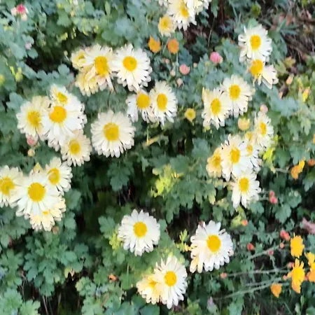 A Lovely House In Valley Σπίτι διακοπών