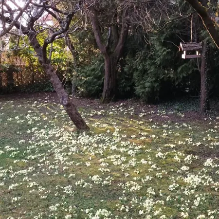 A Lovely House In Valley Vipava