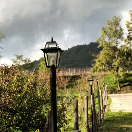 A Lovely House In Valley * Vipava