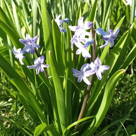 A Lovely House In Valley Σπίτι διακοπών