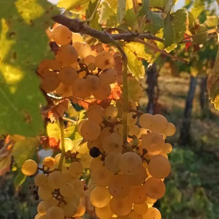 Σπίτι διακοπών A Lovely House In Valley
