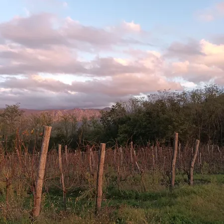 A Lovely House In Valley *