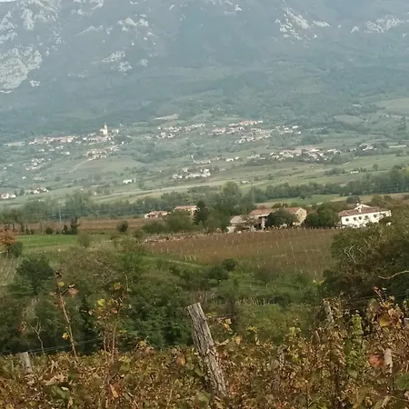 A Lovely House In Valley