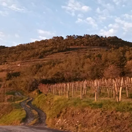 A Lovely House In Valley *