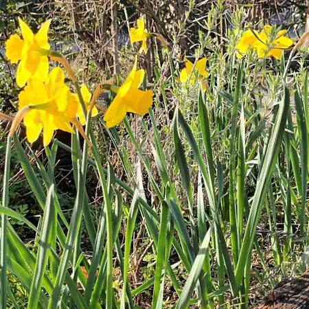 A Lovely House In Valley Σπίτι διακοπών
