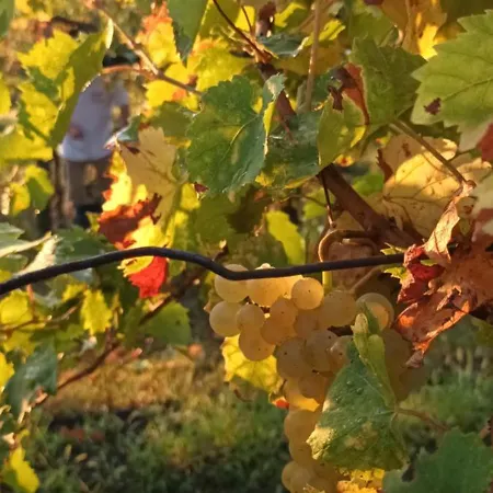 A Lovely House In Valley Σπίτι διακοπών