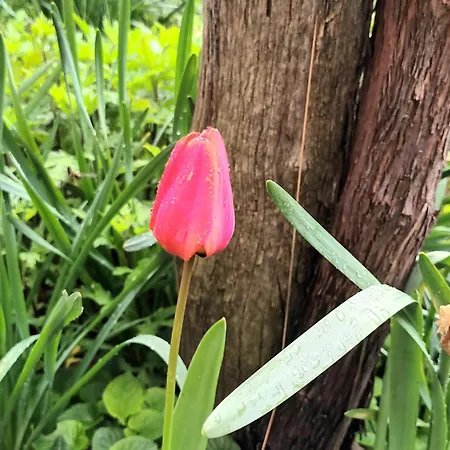 A Lovely House In Valley Σπίτι διακοπών