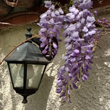 A Lovely House In Valley Ferienhaus Vipava