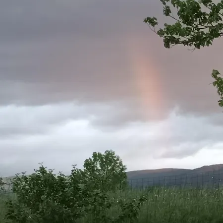 A Lovely House In Valley Vipava