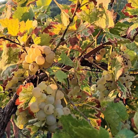 A Lovely House In Valley Σπίτι διακοπών *