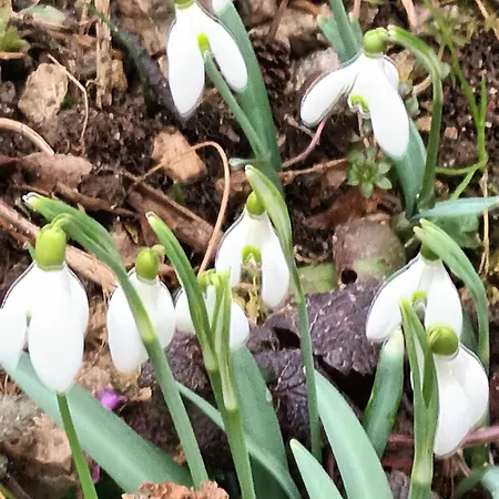 A Lovely House In Valley Σπίτι διακοπών *