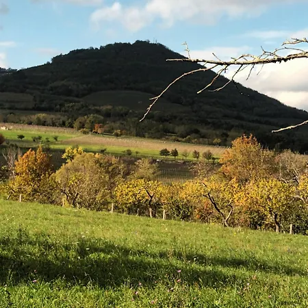 A Lovely House In Valley Vipava