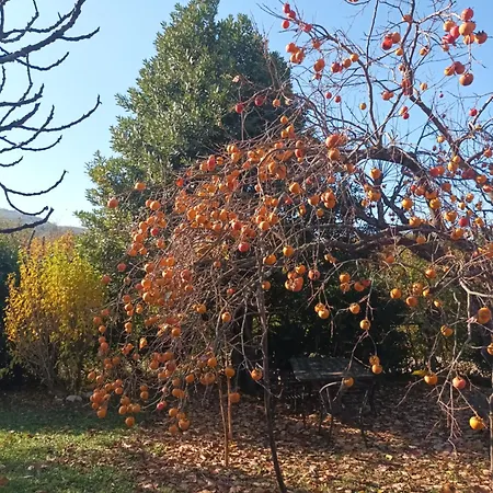 A Lovely House In Valley