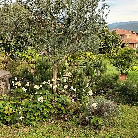 A Lovely House In Valley Ferienhaus *