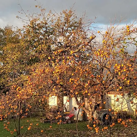 Σπίτι διακοπών A Lovely House In Valley Vipava