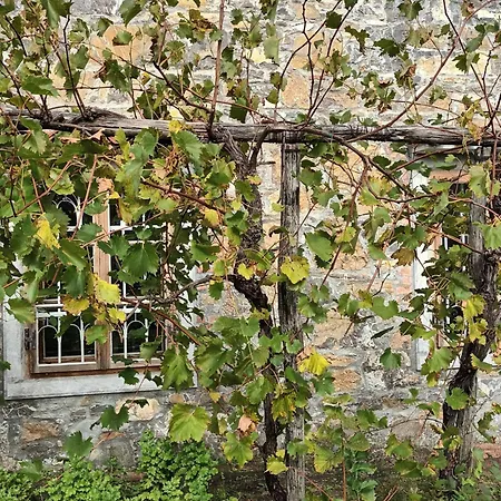 A Lovely House In Valley Ferienhaus Vipava