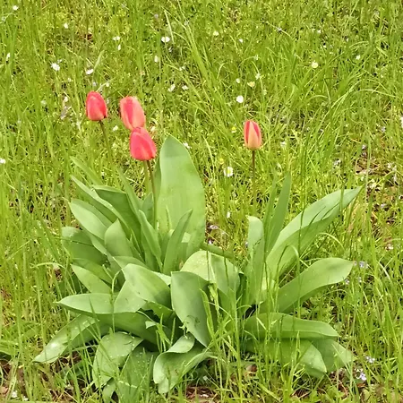 A Lovely House In Valley * Vipava