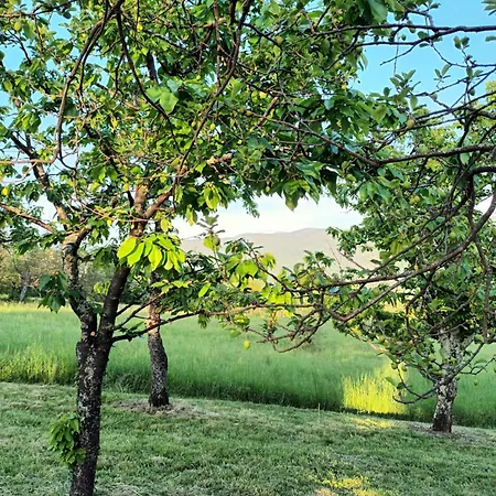 Σπίτι διακοπών A Lovely House In Valley *