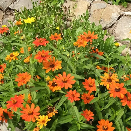 Σπίτι διακοπών A Lovely House In Valley Vipava
