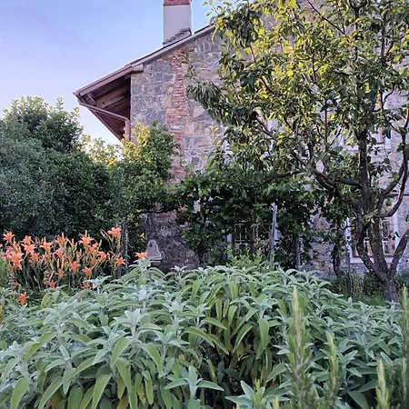 A Lovely House In Valley Vipava