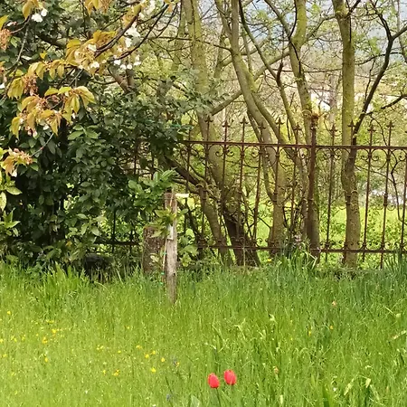 A Lovely House In Valley * Vipava